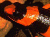 image03