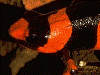image03
