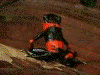 image02