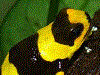 image03