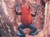 Oophaga pumilio