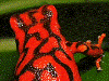 Oophaga vicentei