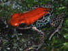 image01