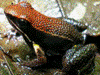 image01