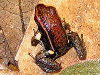 image01