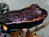 image01
