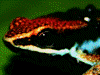 image01