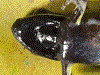 image01
