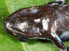 image01