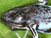 image01